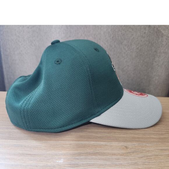 FORT WAYNE TINCAPS Hat Minor League Baseball Cap MiLB Youth Adjustable New wTags - Picture 2 of 10